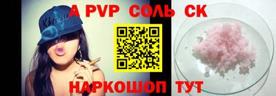 СК Новодвинск