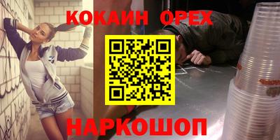 СК Новодвинск