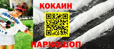 СК Новодвинск