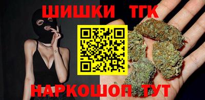 СК Новодвинск