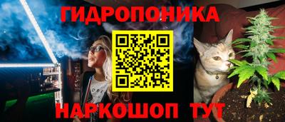 СК Новодвинск
