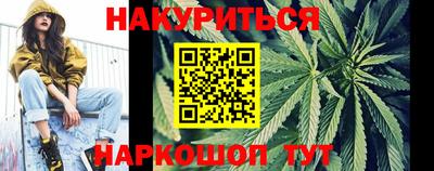 СК Новодвинск