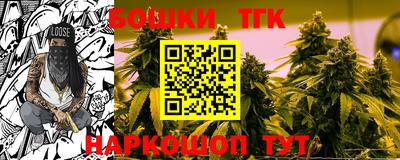СК Новодвинск