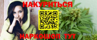 СК Новодвинск