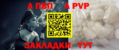 СК Новодвинск