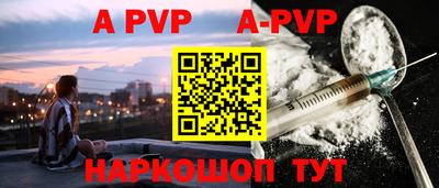 СК Новодвинск
