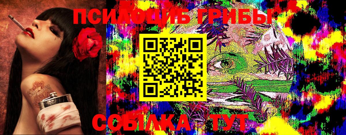 Псилоцибиновые грибы Cubensis  где продают наркотики  Пыть-Ях  Вход с VPN 